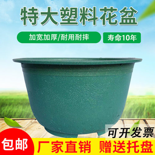 特大塑料种植大花盆可种果树耐用