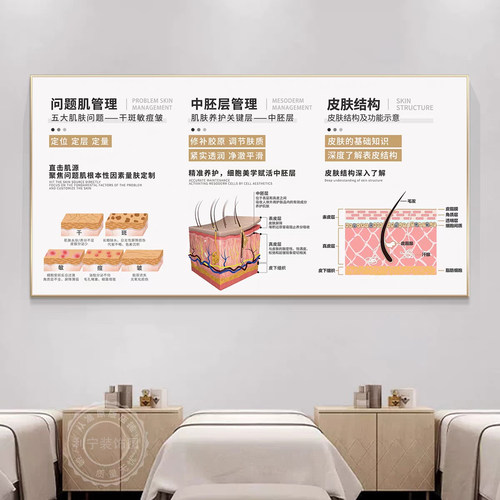 皮肤管理医美诊室宣传挂画美容院墙面广告画结构剖面分析图装饰画