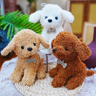仿真泰迪狗毛绒玩具公仔可爱小狗狗抓机玩偶布娃娃送儿童女生礼物