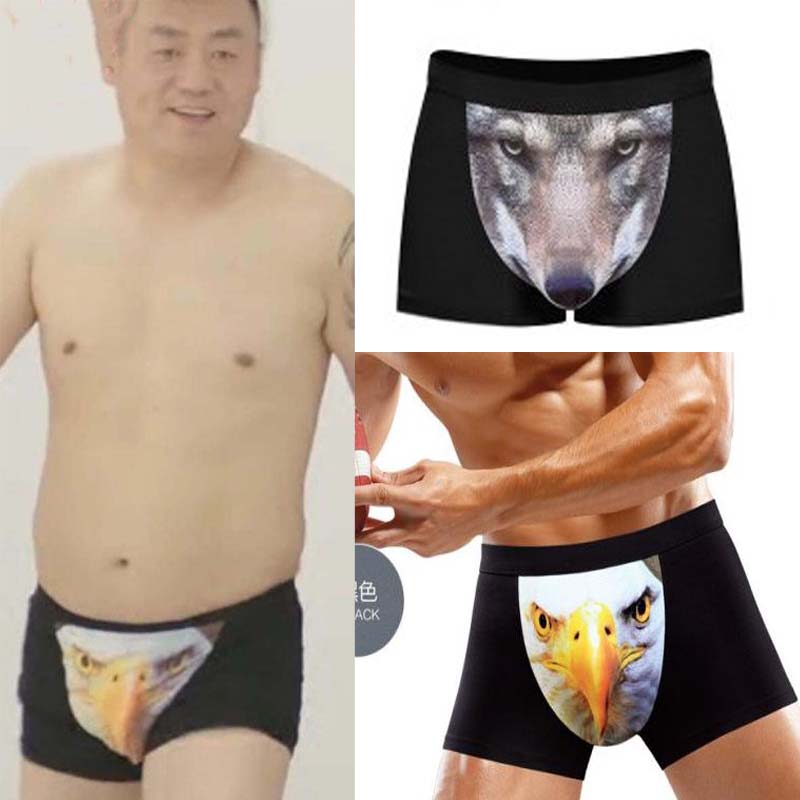 槑头槑脑宋晓峰岳光同款内裤呆头呆脑立体猫头鹰四角裤平角裤