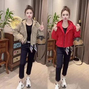 净版纯色夹棉冲锋衣外套女秋季新款小个子休闲超好看欧货二棉服潮