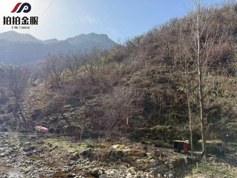 西峡县鸿茂源农业发展有限公司名下的林地使用权