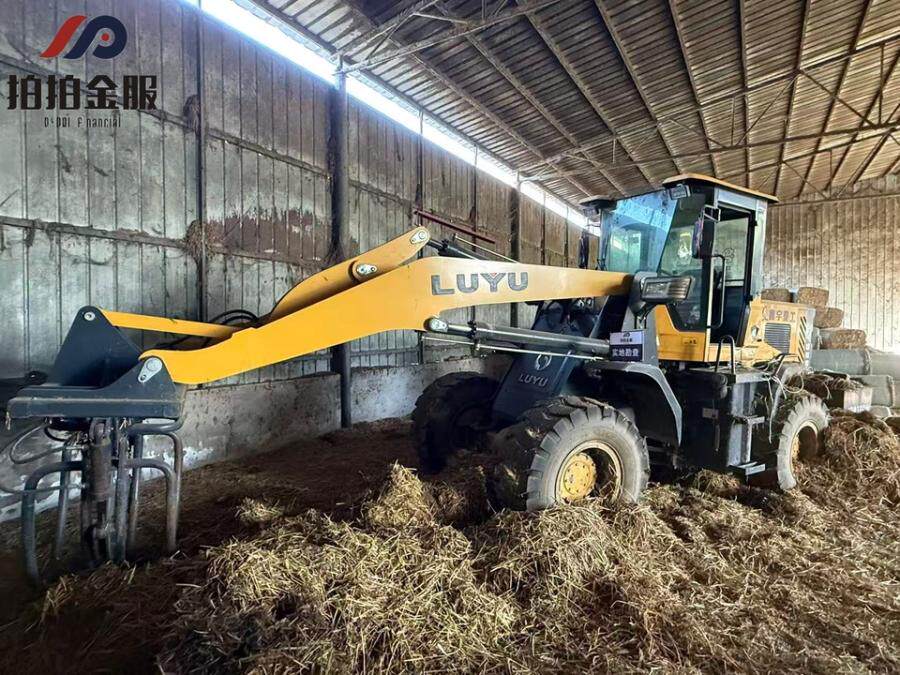 2月14日南阳4.轮式装载机网络拍卖公告