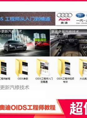 新大众奥迪ODIS工程师专检编程教程及发动机车身电控底盘视频资料
