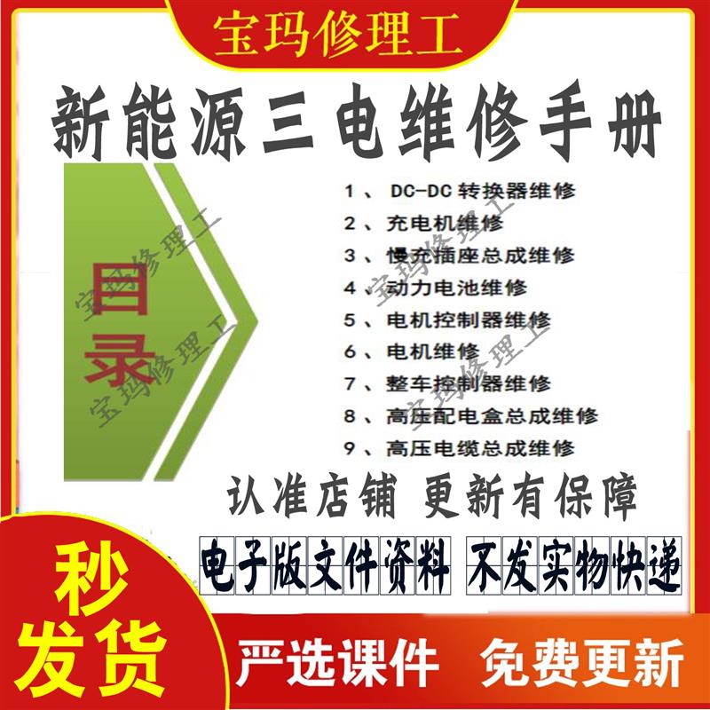 新能源三电系统维修资料手册动力电池系统漏电检测指导BDS说明