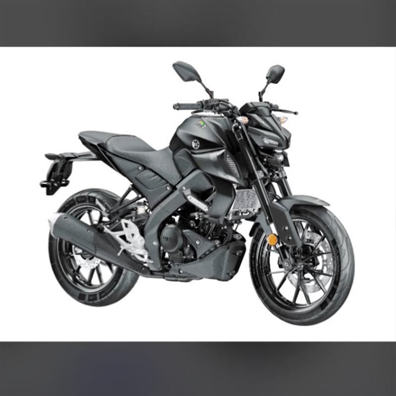 yamaha 山叶2019 MT15维修手册 全车资料部件扭矩 线路图资料