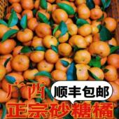 包邮 广西正宗砂糖橘新鲜现摘当季 整箱水果橘子鲜果无籽砂糖桔顺丰