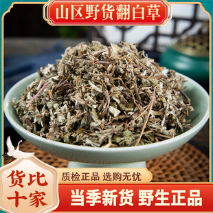 翻白草中药材500g翻白草野生粗根正品新货另售绞股蓝苦丁茶地骨皮
