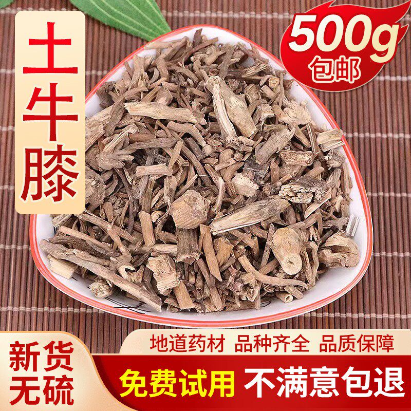 土牛膝 杜牛膝 倒扣草根 粗毛牛膝 土牛七 倒钩草 倒梗草 中药材
