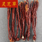 又名鹿角灵芝林芝菌类 包邮 灵芝草中药材 长白山特产整枝500g克