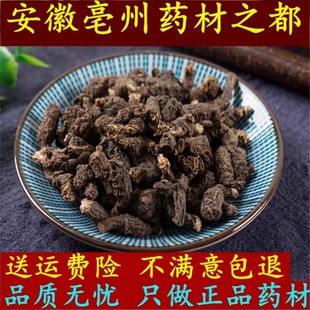 云南野生中药材天葵子 紫背天葵子 千年老鼠屎 山耗子 散血珠根