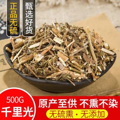 千里光中药材正品500克