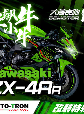 MOTOTRON 川崎ZX4RR ZX25R改装件合集
