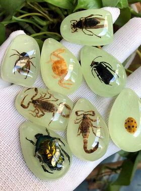 夜光琥珀真昆虫标本 儿童挖掘考古盲盒吊坠配件 树脂配件昆虫琥珀