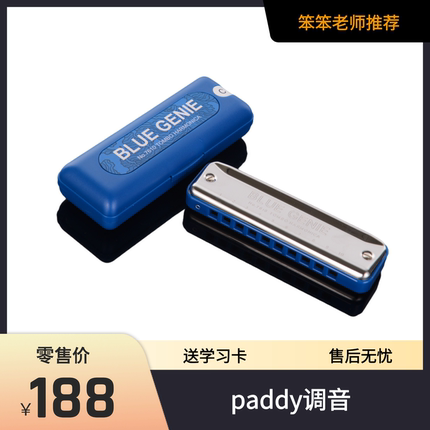 通宝新款7610初学者高级入门爱尔兰paddy音阶10孔口琴专业演奏级