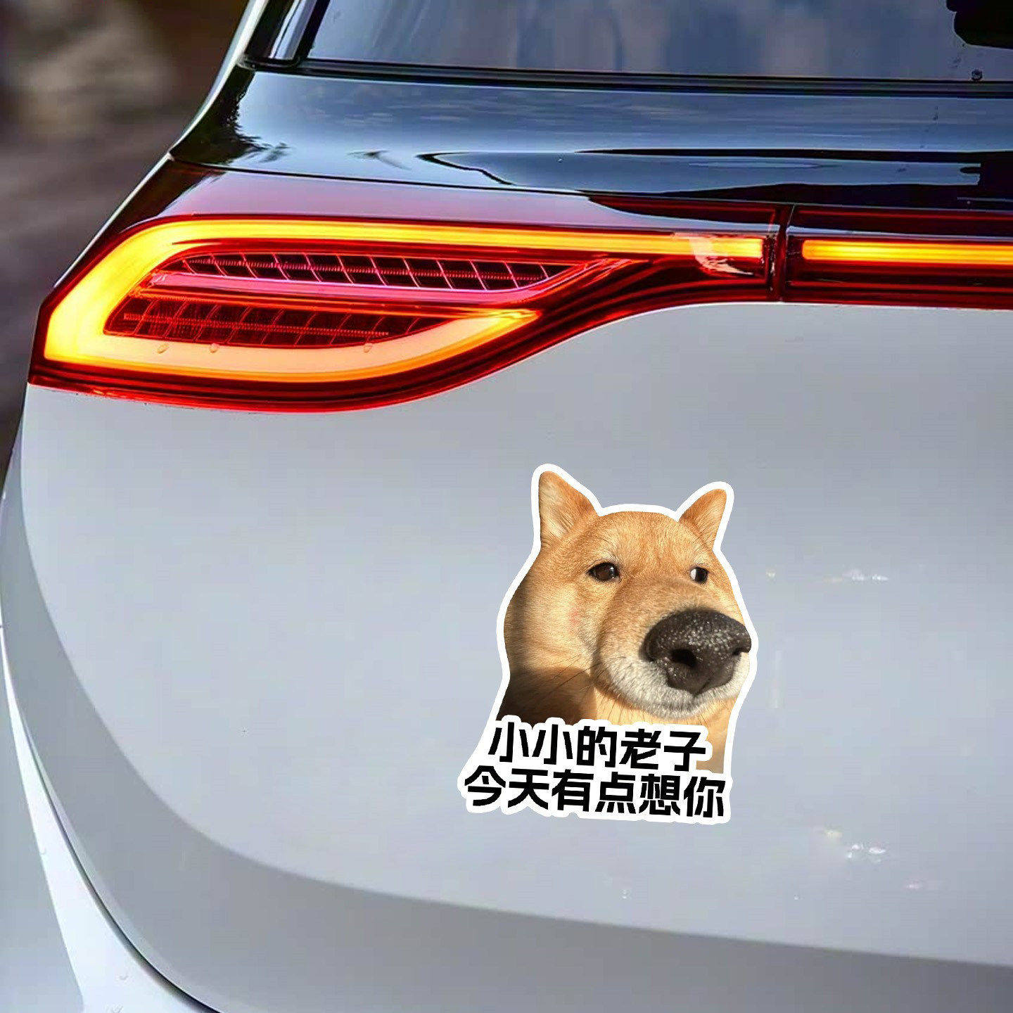 伸手不打笑脸狗反光磁吸车贴搞笑有趣汽车装饰贴纸个性创意防水画,商业/办公家具,广告牌/标识牌,淘宝优惠券,粉丝福利购,淘宝优惠卷