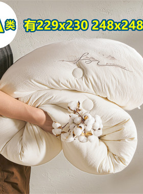 A类全棉水洗棉被子被芯2米2.3双人220x240加大229x230冬被248x248