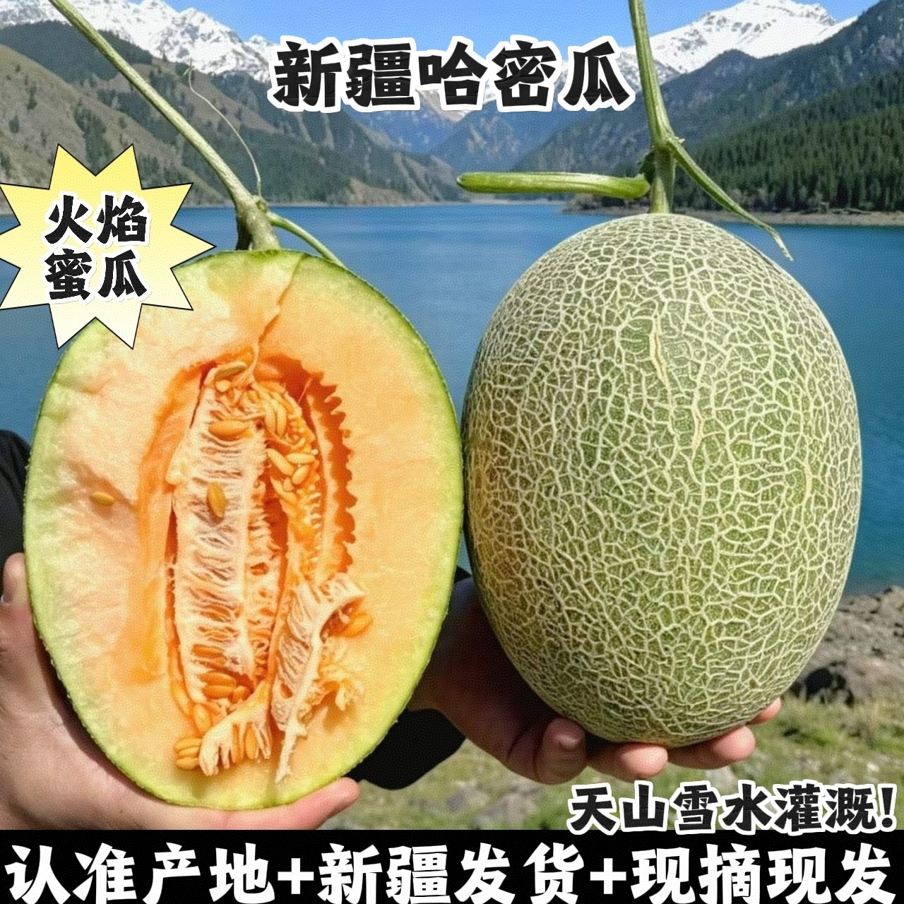新疆哈密瓜火焰山西州蜜瓜晓蜜25号当季新鲜水果脆甜现摘现发