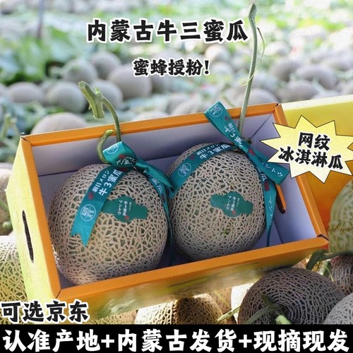 牛三蜜瓜网纹冰淇淋玫珑蜜瓜礼盒