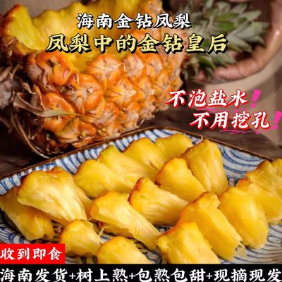 海南金钻凤梨树上熟豆奶手撕凤梨