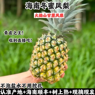 冬蜜凤梨海南树上熟火焰山甘蔗豆奶非金钻芒果凤梨新鲜水果甜顺丰
