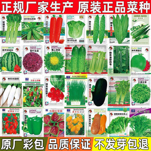 蔬菜种子四季 种植菜籽种大全 播盆栽阳台庭院香菜黄瓜辣椒生菜春季