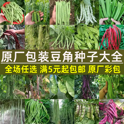豆角种籽大全四季豆无架豆长豇豆