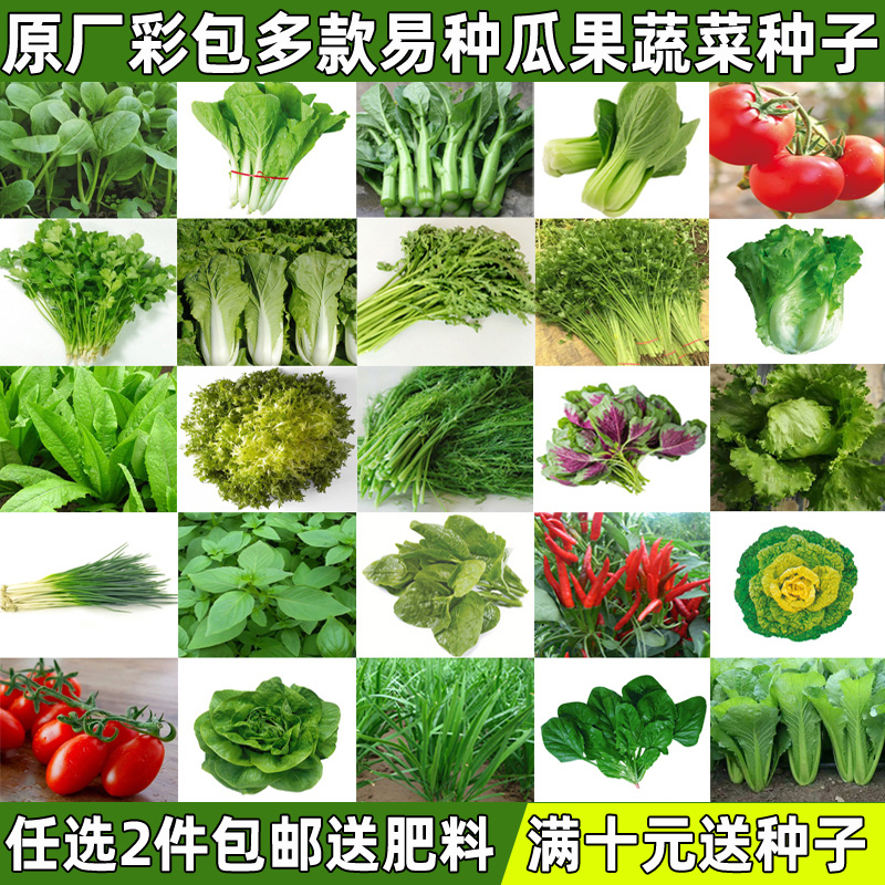 蔬菜种子大全庭院阳台盆栽四季播易种生菜黄瓜西瓜香菜春季菜籽种