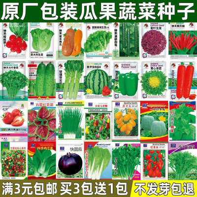 蔬菜种子四季播阳台庭院易种菜籽
