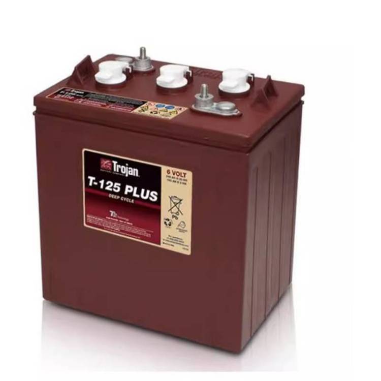 Trojan邱健6V233AH免维护蓄电池