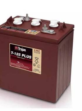Trojan邱健洗地升降机观光休闲车T-125AGM PRC 6V233AH免维护电池