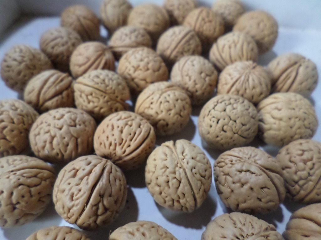 脑纹桃核手持项链原籽佛念珠