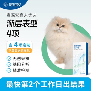 漸層表型4項基因檢測 寵知因 漸層表型四項基因檢測