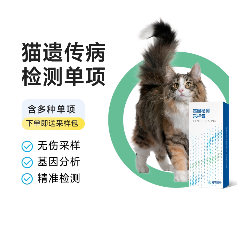 宠知因猫咪基因检测宠物遗传病视网膜萎缩眼睛代谢甘露糖原贮积病