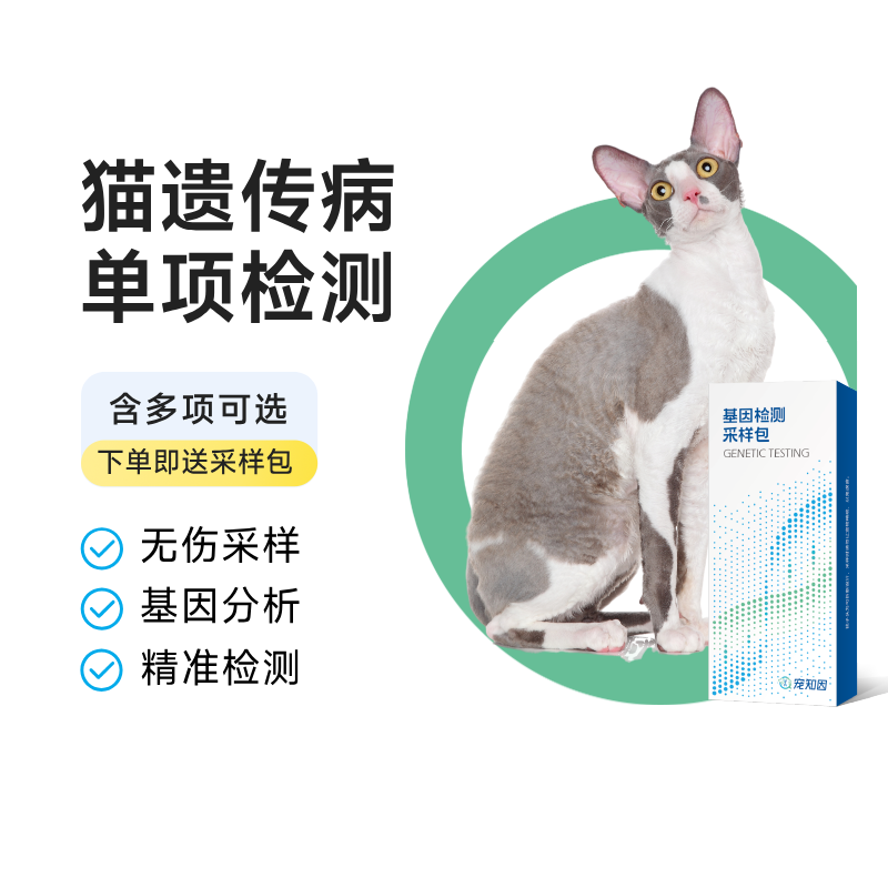宠知因猫遗传病基因检测单项宠物眼睛视网膜萎缩甲状腺功能减退