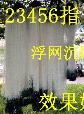 三层渔网沉网浮网细软胶丝网抓白条网鲫鱼鲢鳙翘嘴河水库挂子沾网