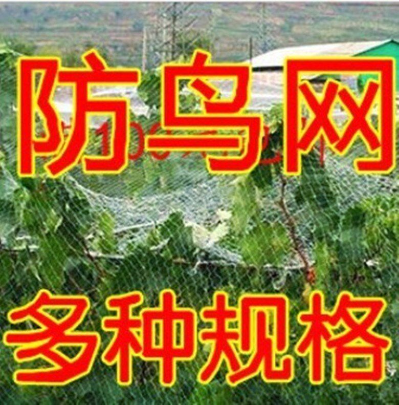 葡萄 果树防护网果园樱桃遮鸟网家用 防鸟防护罩农用在类目 鲜花速递/花卉仿真/绿植园艺, 园艺用品, 其它园艺用品中 - 来自Buy2taobao.com提供专业的淘宝代购服务