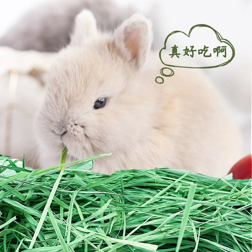 750g黑麦草干草 烘干黑麦箱装兔子草  龙猫 豚鼠 草 陆龟牧草