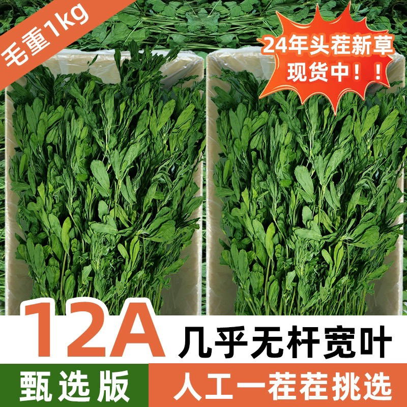 紫花苜蓿草烘干苜蓿草1kg/箱幼兔兔粮饲料牧草干草兔子龙猫荷兰猪