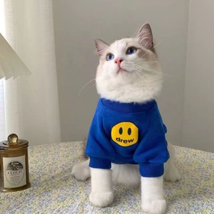 保暖 猫猫衣服秋装 潮牌可爱英短蓝猫秋冬小奶猫宠物猫猫咪衣服冬装