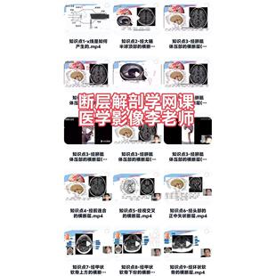 断层影像解剖学网课+手写笔记