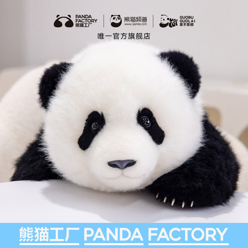 熊猫工厂5月龄萌兰仿真熊猫玩偶