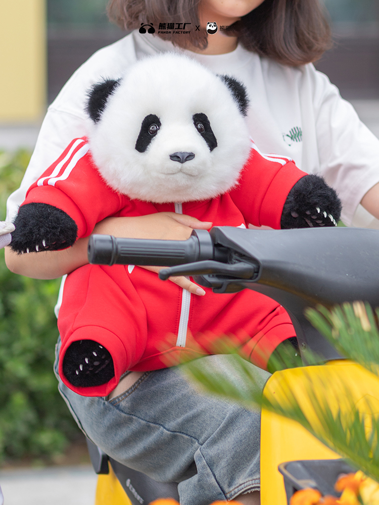 熊猫工厂五月龄萌兰五月龄果赖可爱纯棉中国熊猫仿真熊猫连体衣服