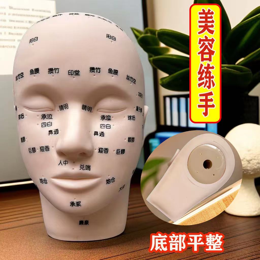 皮肤管理头模美容练习脸部穴位