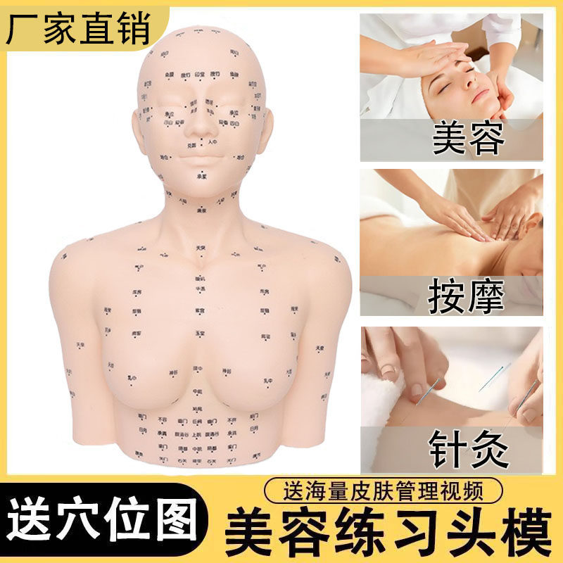 美容院穴位按摩练习头模特带肩膀