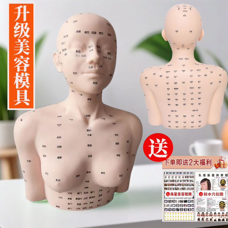 美容院练习脸部穴位按摩手法人头