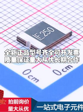 2920L250DR 2920 可开票全新自恢复保险丝