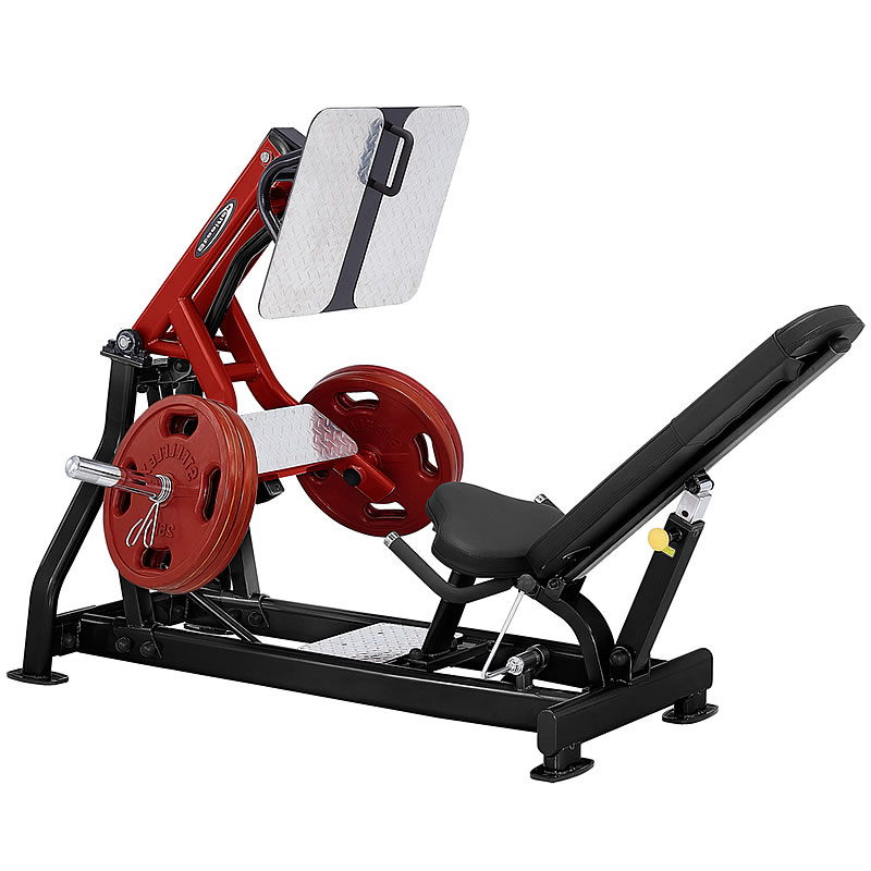 史帝飞蹬腿训练器进口商用免维护