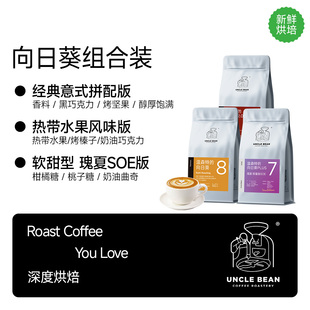 豆叔温森特的向日葵1.0经典醇香向2.0热带水果向PLUS瑰夏SOE咖啡