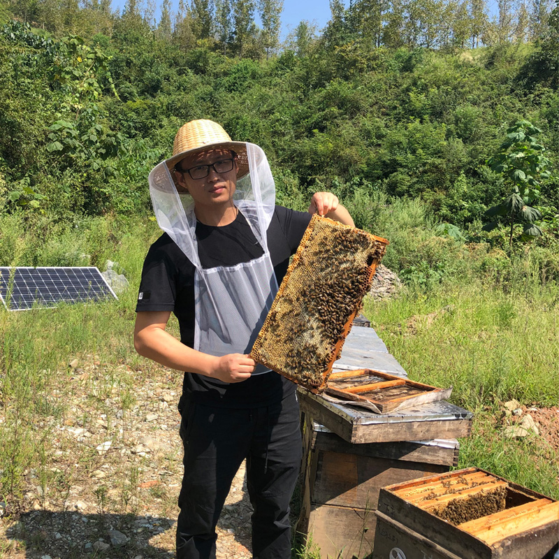 深山精品多花蜜一整年花期出一次口碑款